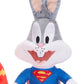 Warner Bros 100 Years DC Comics / Looney Tunes Plush Merch Church Merthyr