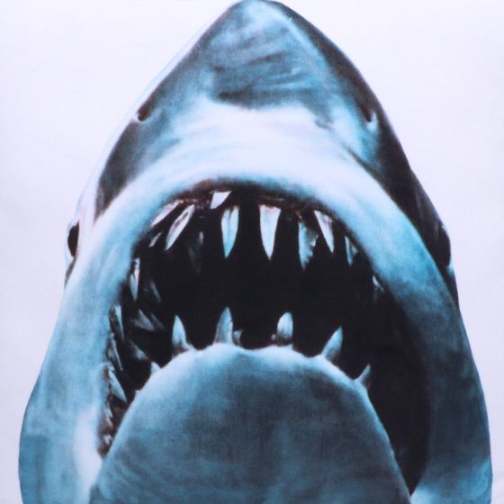 Jaws Cushion